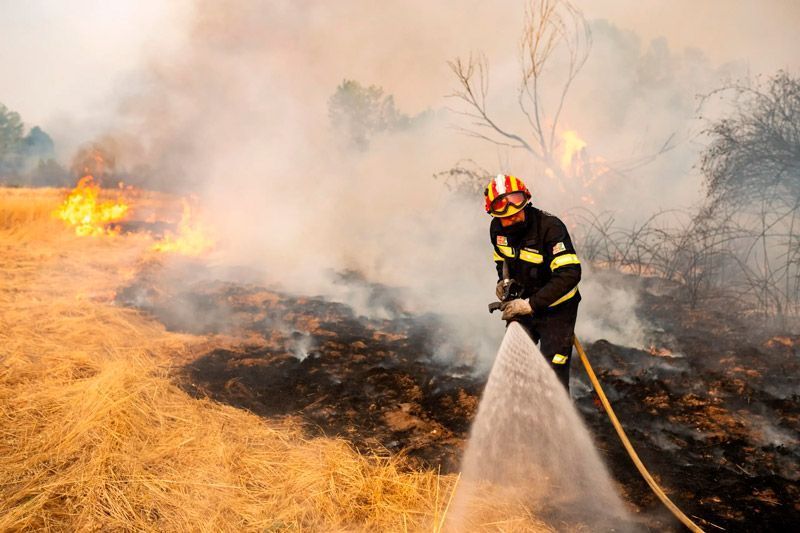 “El PSOE de Tábara denuncia la falta de medios frente a los devastadores incendios en Zamora” 1
