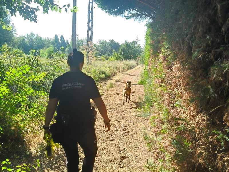 La Policía Nacional incorpora medios a la búsqueda de la mujer desaparecida 1