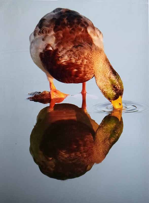 Luz, paciencia y raíces: el arte fotográfico de Ángel Barrios 4