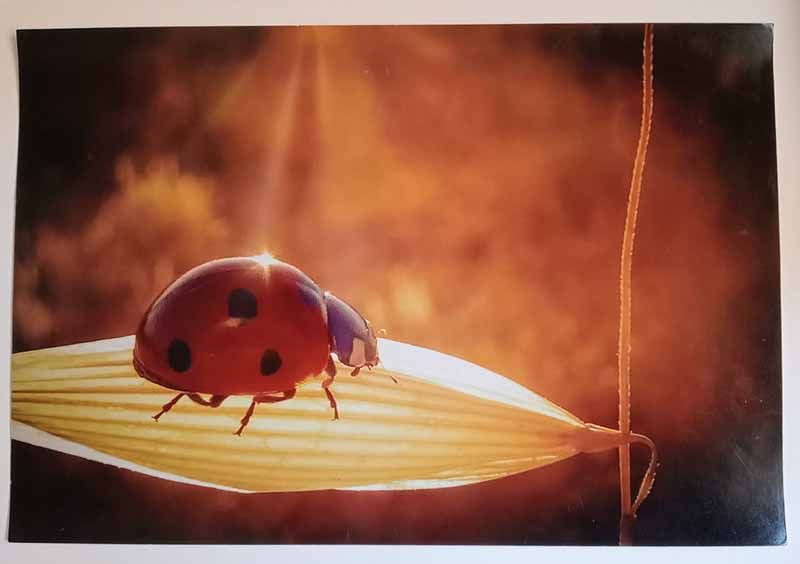 Luz, paciencia y raíces: el arte fotográfico de Ángel Barrios 3
