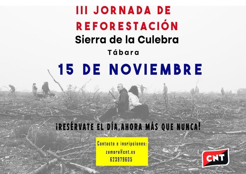 CNT convoca en Tábara la III Jornada de Reforestación el 15 de noviembre 1