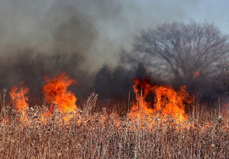 Juventudes Socialistas denuncian la “tragedia anunciada” de los incendios en León y Zamora 1