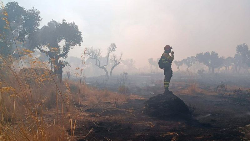 La Junta declara situación de alerta de riesgo de incendios forestales por causas meteorológicas del 17 al 19 de septiembre en toda la Comunidad 1