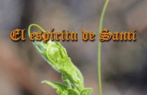 La Revista “El Espíritu de Santi” Nº13