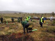 Homenaje y reforestación en la Sierra de la Culebra: más de 300 árboles plantados en memoria de las víctimas de los incendios de 2022