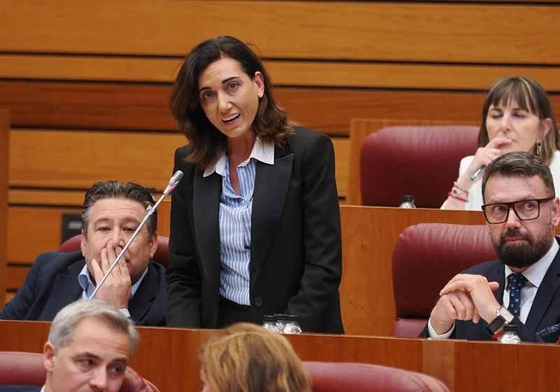 Las Cortes aprueban por unanimidad la mejora de la carretera CL-527 entre Fadón y Bermillo de Sayago 1