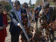 Luis Planas anuncia el pago de 27,8 millones de euros a 9.000 agricultores y ganaderos afectados por los grandes incendios del verano