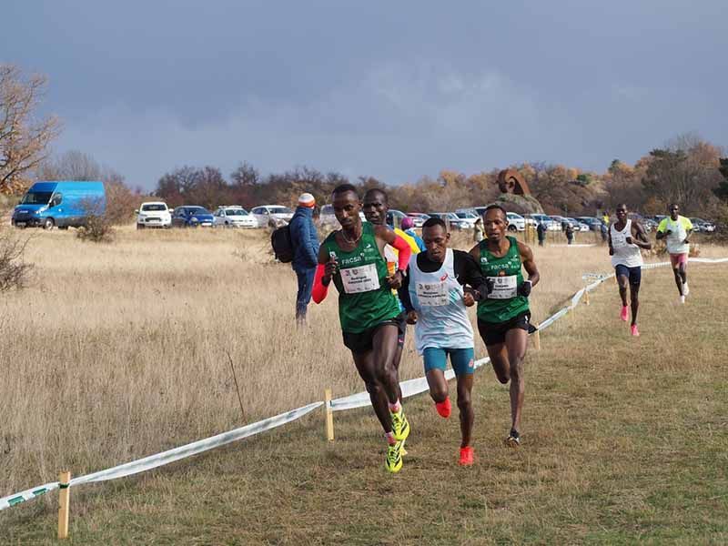 Matthew Kipchumba y Likina Amebaw brillan en el XXXI Campo a Través Internacional de Soria 1