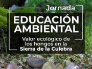 Tábara acoge una jornada ambiental para descubrir el valor ecológico de los hongos en la Sierra de la Culebra