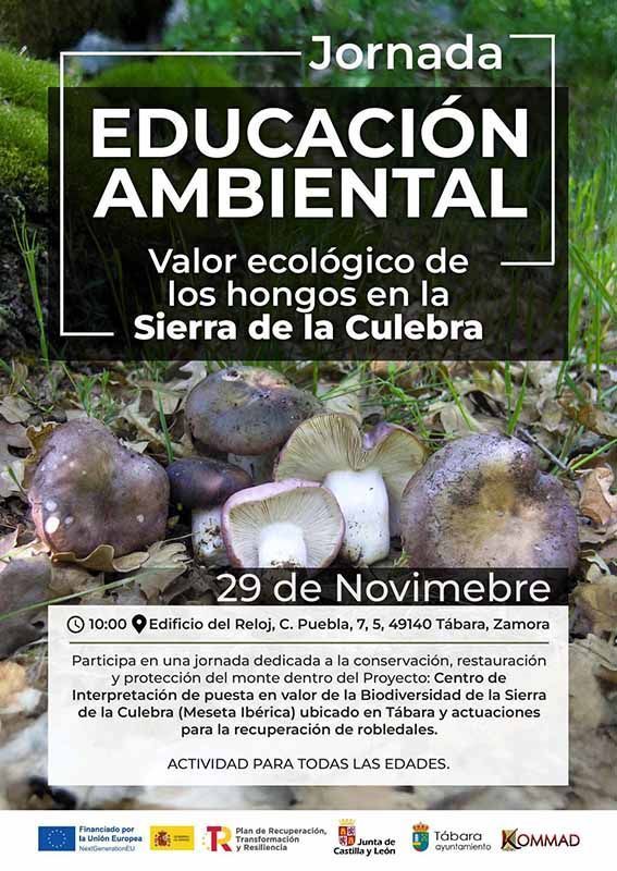 Tábara acoge una jornada ambiental para descubrir el valor ecológico de los hongos en la Sierra de la Culebra 1