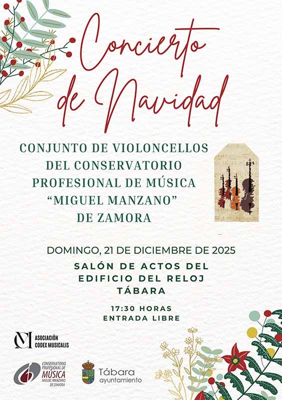Concierto de Navidad en Tábara: la magia del violonchelo para amenizar la Navidad. 1