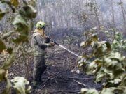 El Gobierno aprueba un nuevo marco estatal para reforzar la coordinación y la seguridad frente a los incendios forestales