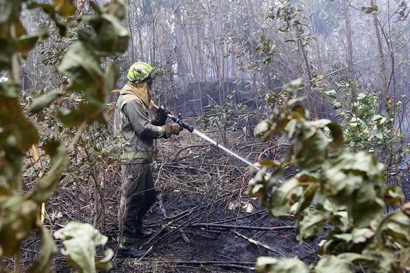 El Gobierno aprueba un nuevo marco estatal para reforzar la coordinación y la seguridad frente a los incendios forestales 1