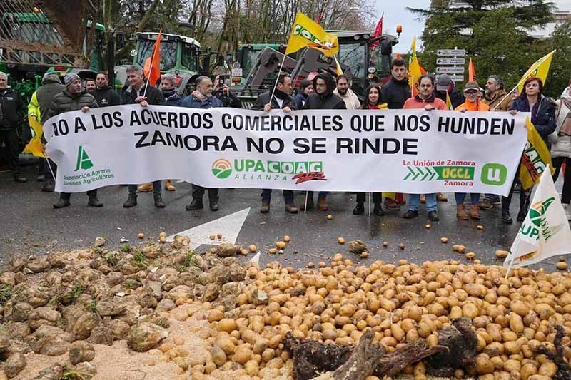 Normalidad y alta participación en la tractorada del sector agrario en Zamora 3