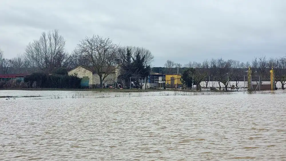 Actualización del Temporal, Nueve Avisos Hidrológicos Activos en Zamora
