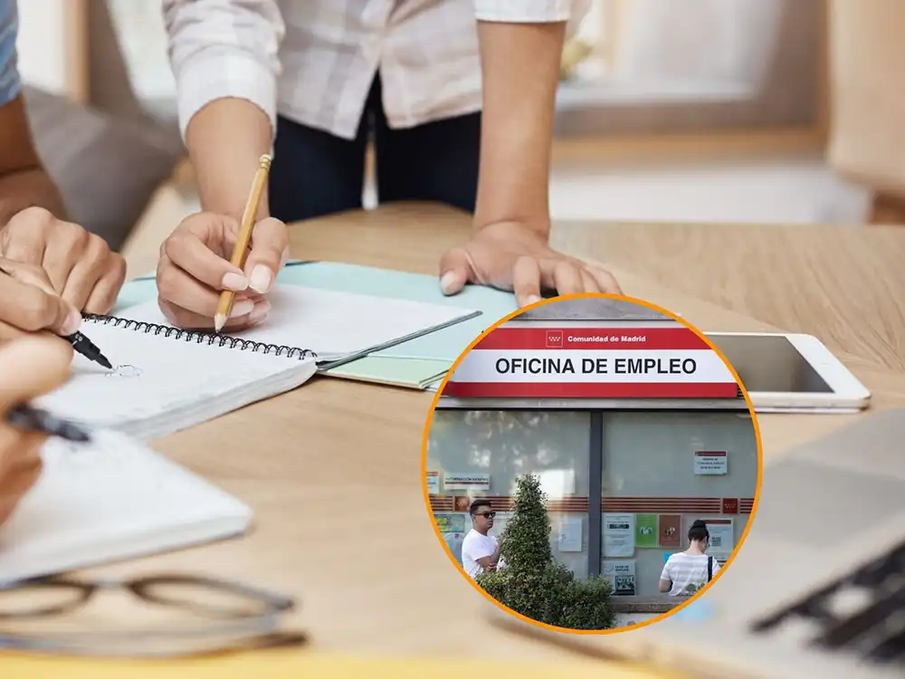 Situación del empleo en Zamora – Enero 2026 1