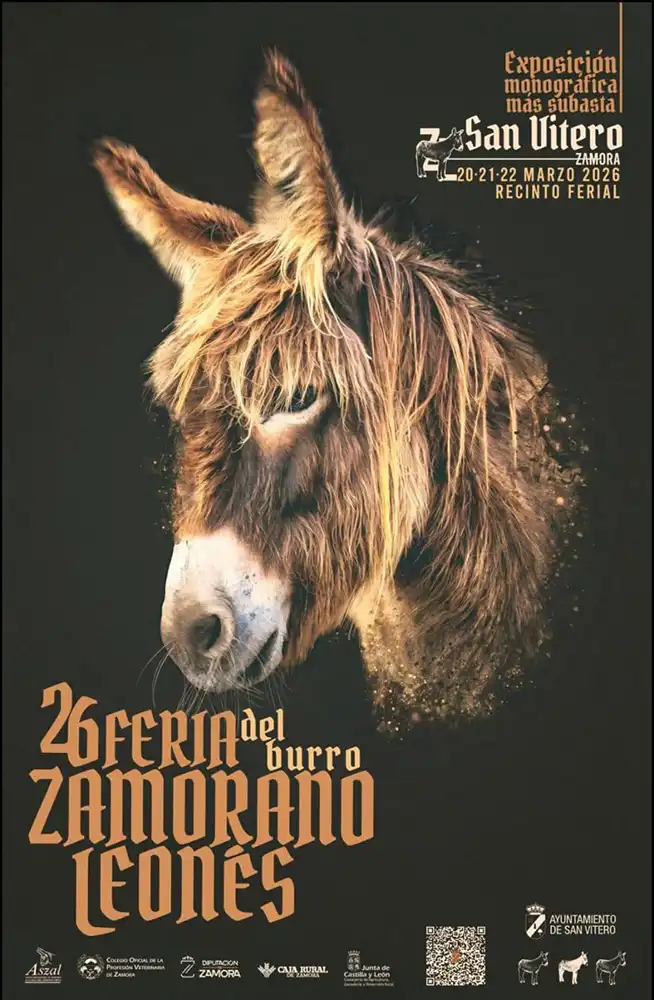 San Vitero acoge este fin de semana la 26 Exposición Monográfica y Subasta de Raza Zamorano Leonesa