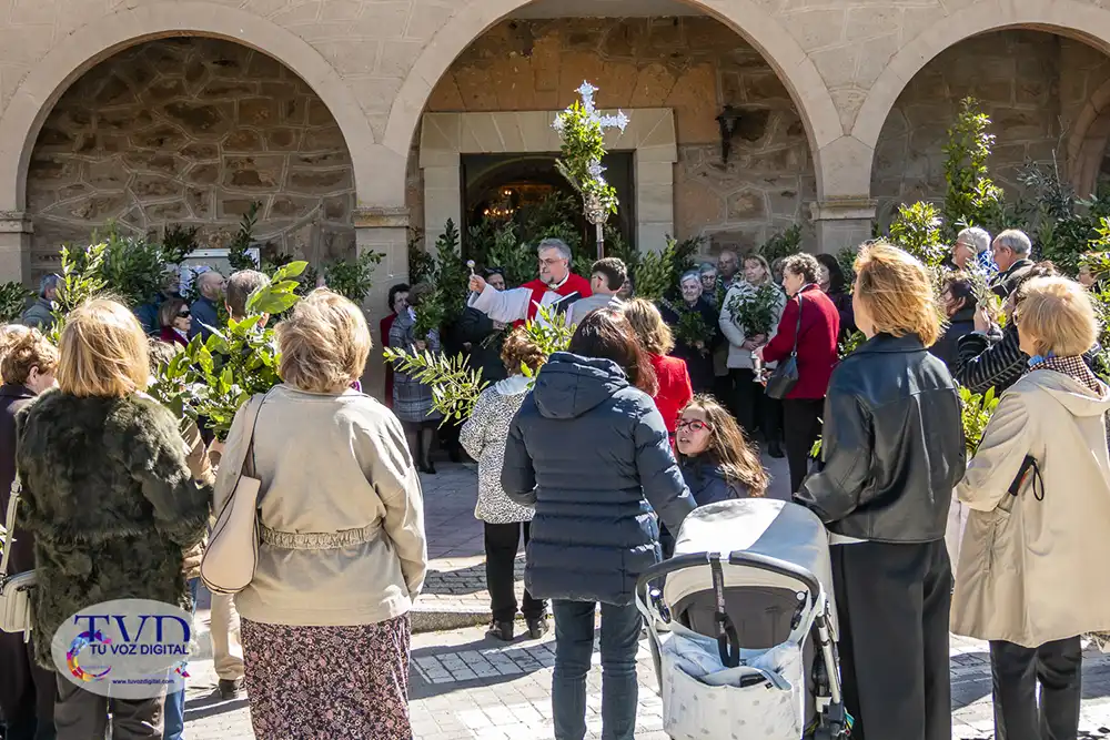 Tábara da la bienvenida a la Semana Santa con una luminosa jornada de Domingo de Ramos