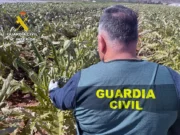Nueva ley endurece sanciones por hurtos agrícolas y delitos reiterados en el medio rural