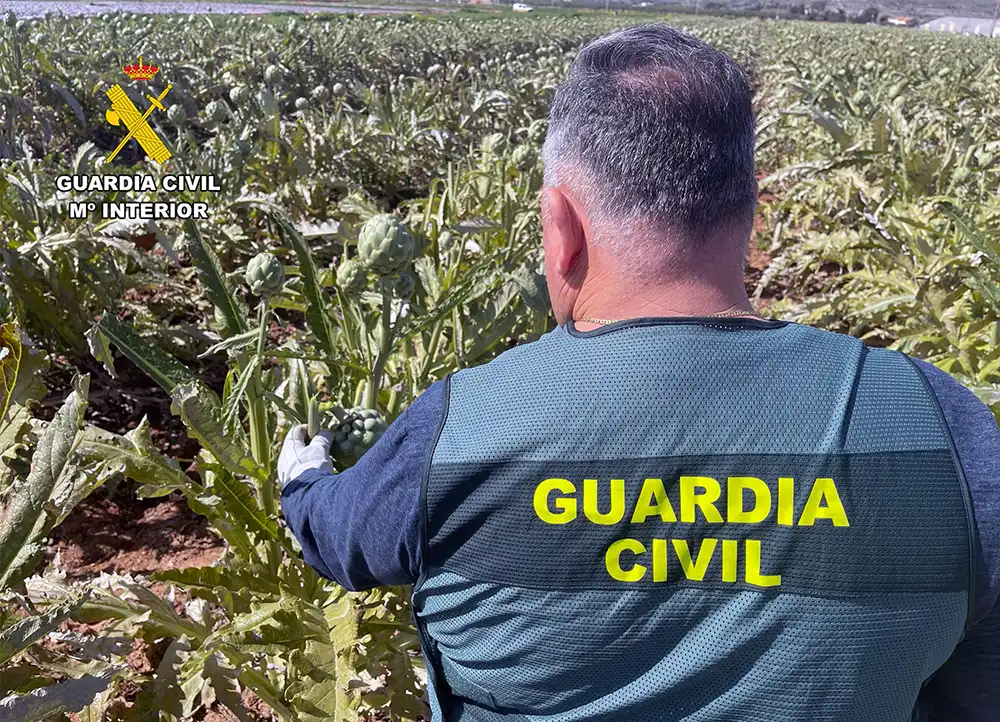 Nueva ley endurece sanciones por hurtos agrícolas y delitos reiterados en el medio rural