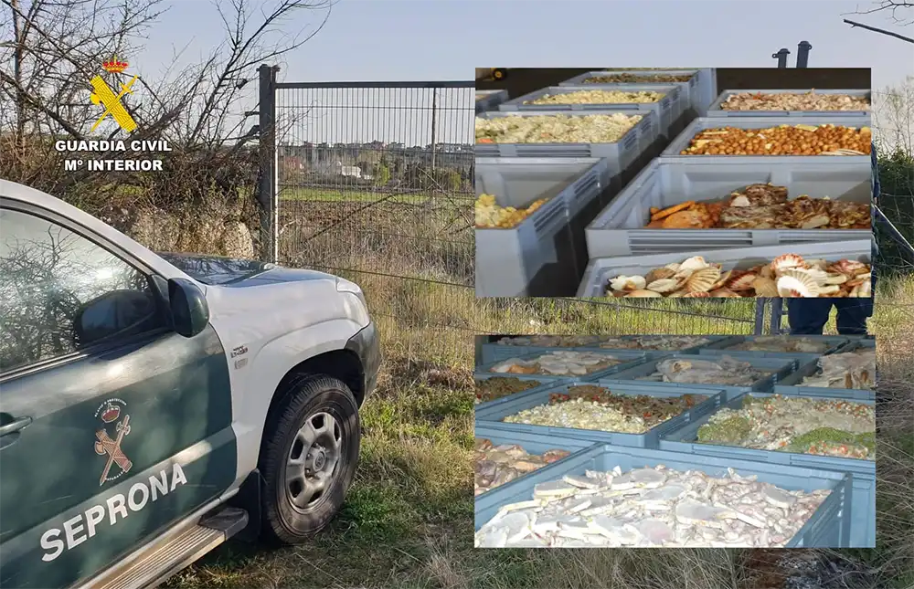El SEPRONA investiga a seis personas por delitos de fraude alimentario, falsificación documental, contra la salud pública y contra la propiedad industrial
