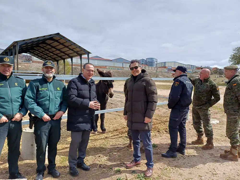 El subdelegado del Gobierno visita el Centro Militar de Cría Caballar de Ávila y conoce su labor estratégica en conservación y seguridad