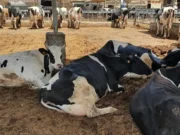 La Junta destina un millón de euros para promover la formación agraria de más de 8.400 alumnos en Castilla y León