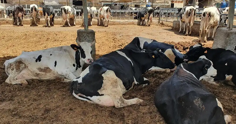 La Junta destina un millón de euros para promover la formación agraria de más de 8.400 alumnos en Castilla y León