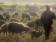 Hacienda reduce los módulos del IRPF agrario y rebajará en 39 millones la base imponible en Castilla y León