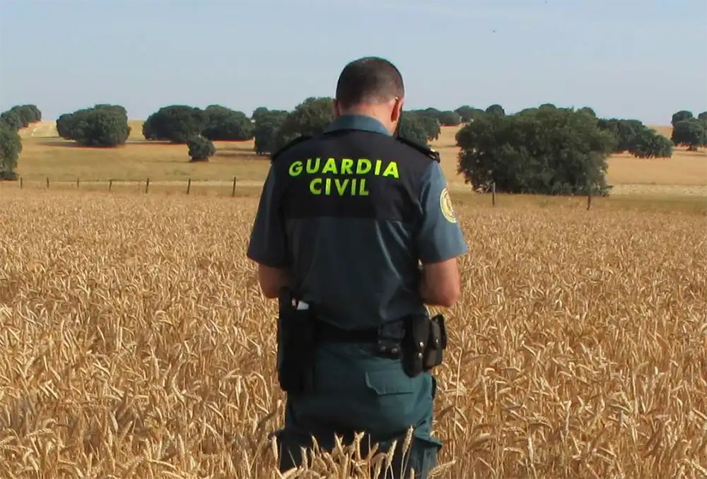 Imputadas dos personas de un delito de falsedad documental y otro de fraude de subvenciones en las ayudas de la PAC