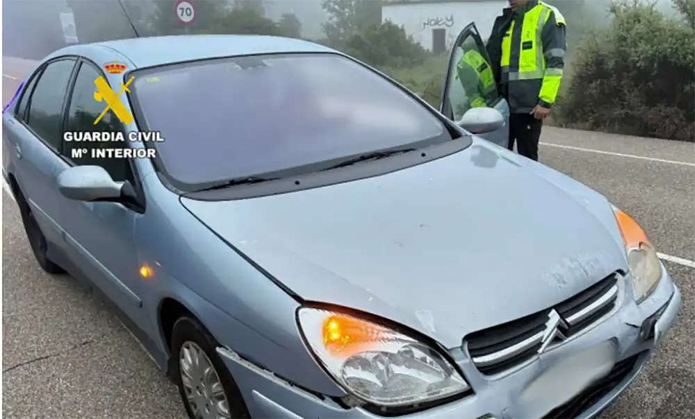 Investigado un conductor por huir de un accidente en Zamora tras conducir presuntamente ebrio y de forma temeraria 1 Investigado un conductor por huir de un accidente en Zamora tras conducir presuntamente ebrio y de forma temeraria