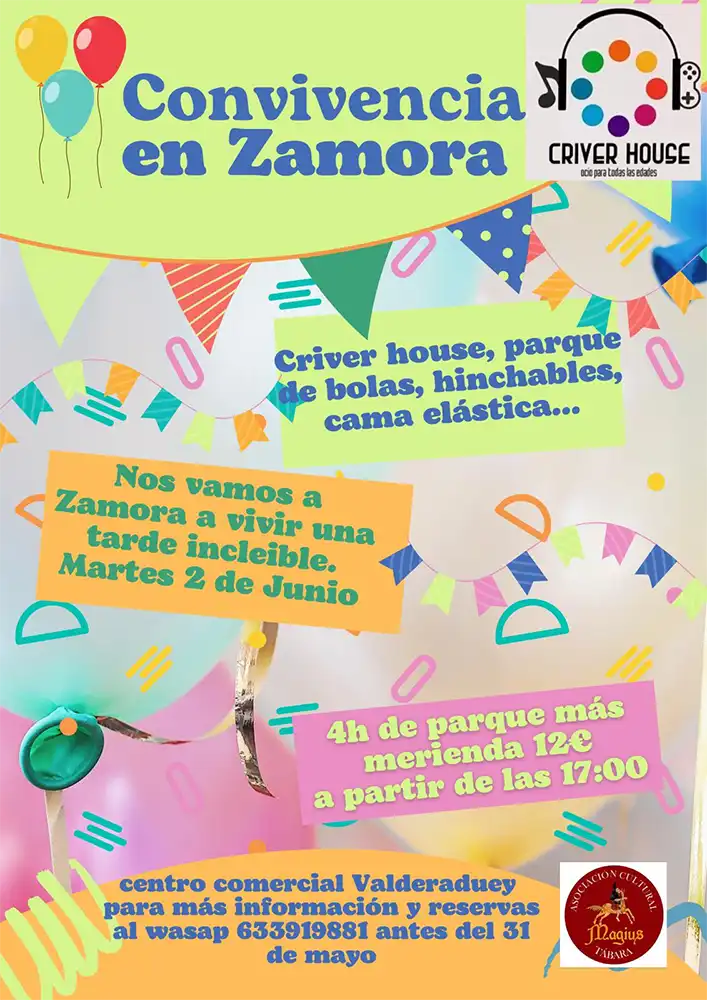 La Asociación Cultural Magius organiza una tarde de convivencia y diversión infantil en Zamora