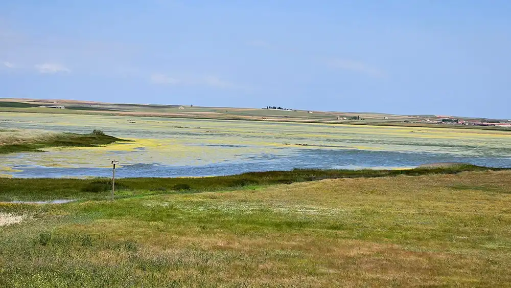 UPL lleva a las Cortes el deterioro ambiental de la Salina Grande en las Lagunas de Villafáfila