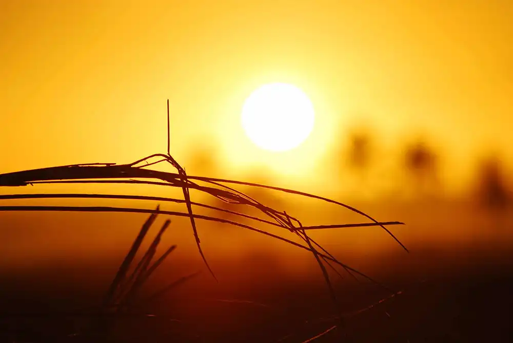 Aviso amarillo por altas temperaturas en la provincia de Zamora para este domingo