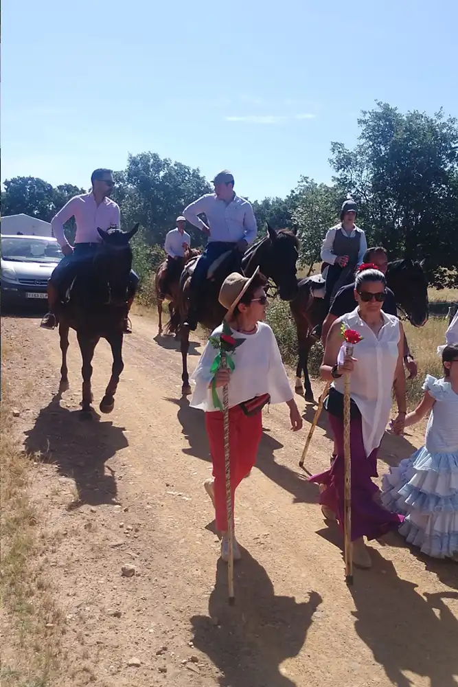 La Feria Rociera de Tábara consolida a San Mamés como símbolo de convivencia y tradición 83
