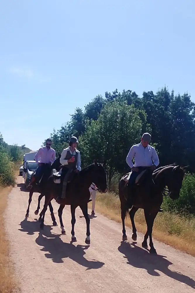 La Feria Rociera de Tábara consolida a San Mamés como símbolo de convivencia y tradición 72