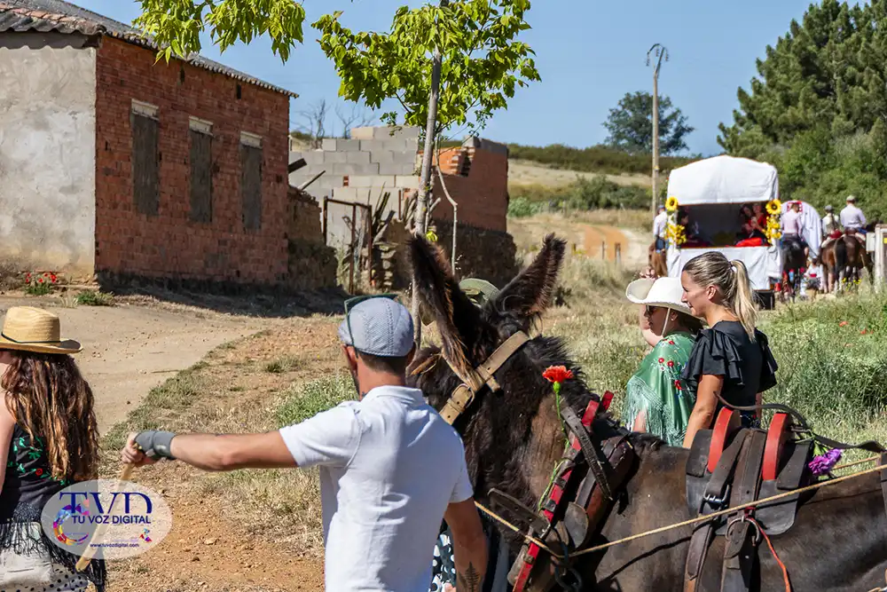 La Feria Rociera de Tábara consolida a San Mamés como símbolo de convivencia y tradición 23