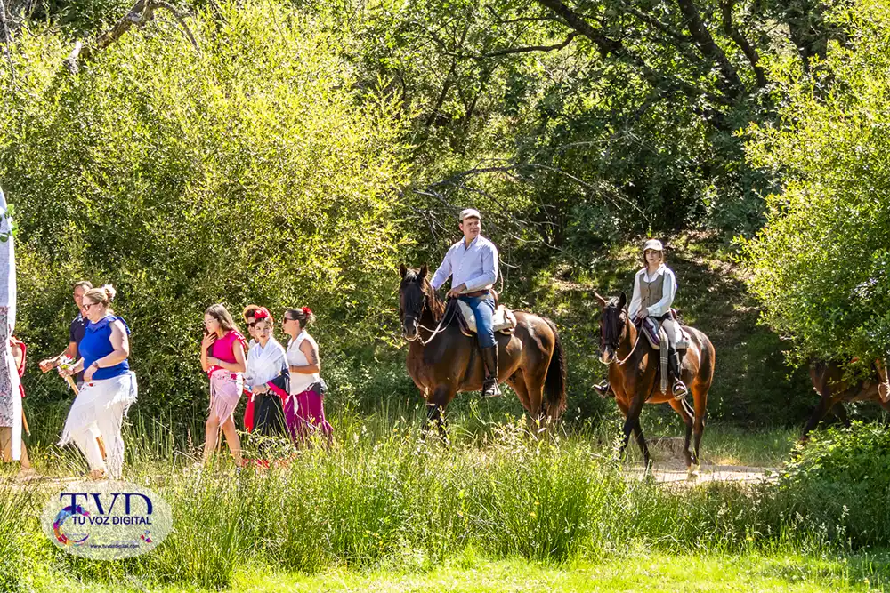 La Feria Rociera de Tábara consolida a San Mamés como símbolo de convivencia y tradición 2