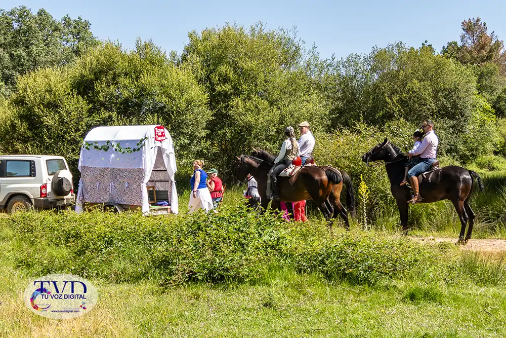 La Feria Rociera de Tábara consolida a San Mamés como símbolo de convivencia y tradición 27