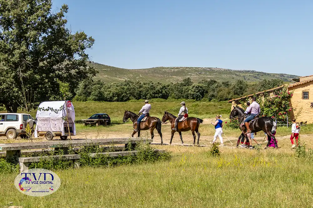 La Feria Rociera de Tábara consolida a San Mamés como símbolo de convivencia y tradición 29