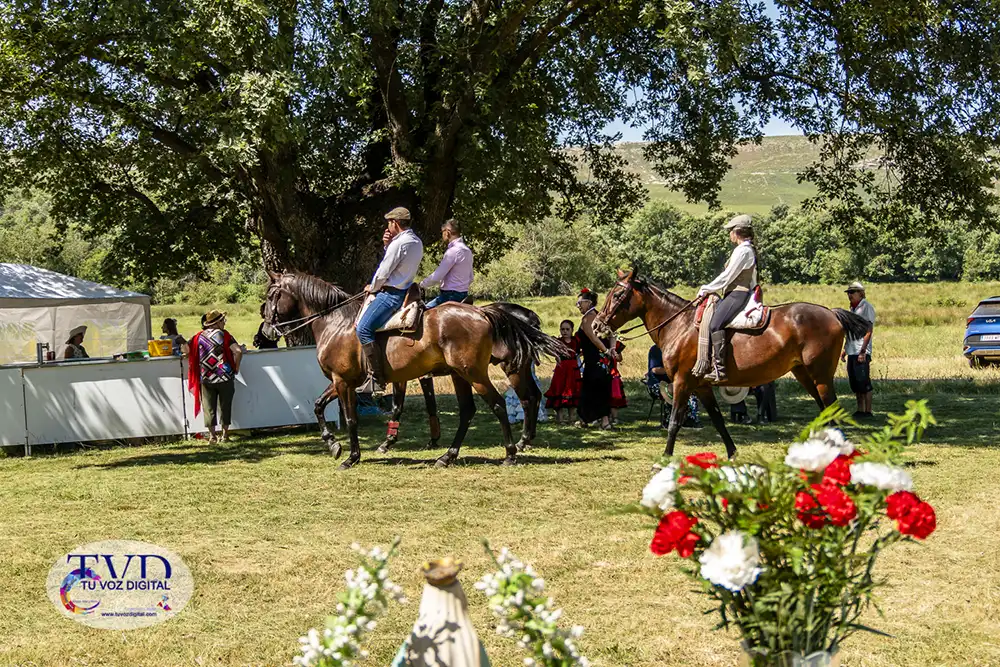 La Feria Rociera de Tábara consolida a San Mamés como símbolo de convivencia y tradición 33