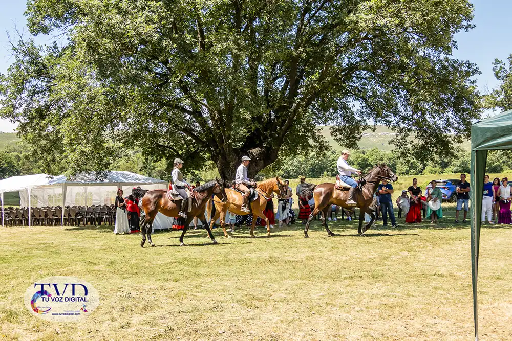 La Feria Rociera de Tábara consolida a San Mamés como símbolo de convivencia y tradición 42