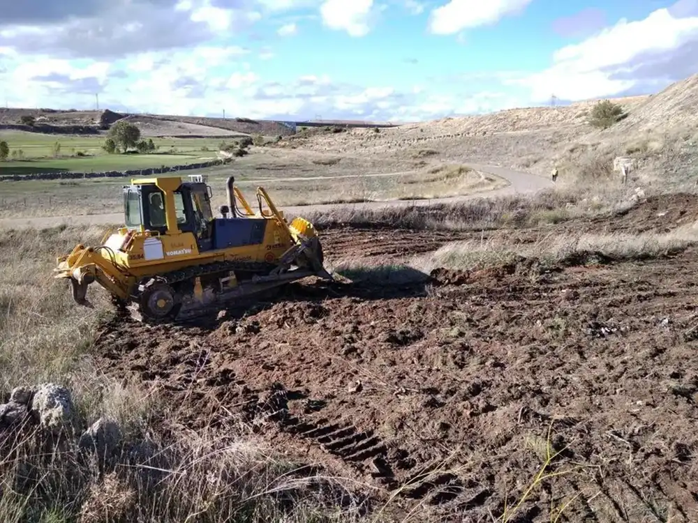 Abierto el plazo para solicitar ayudas del 65 % para plantaciones forestales de alto valor en Zamora