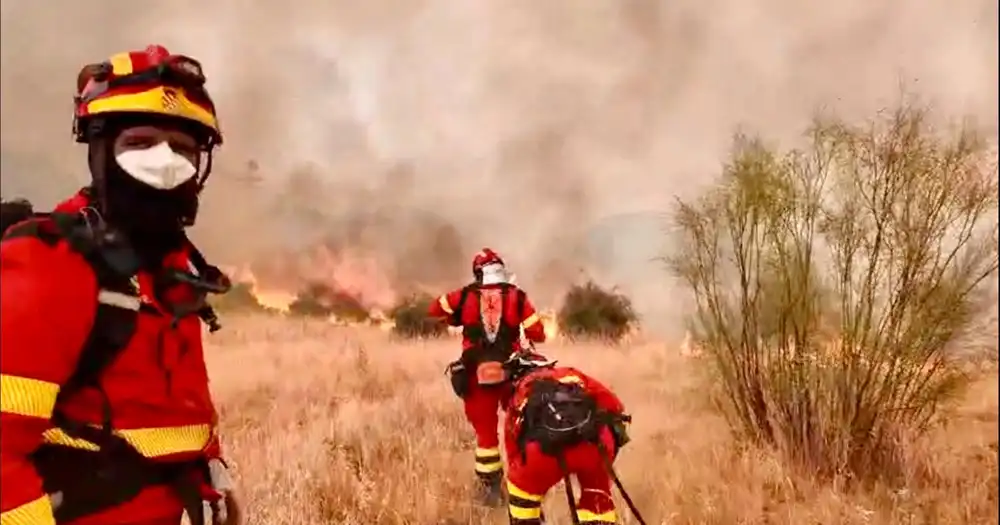 Castilla y León declara la alerta por riesgo meteorológico de incendios forestales del 28 al 31 de julio