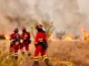 Castilla y León declara la alerta por riesgo meteorológico de incendios forestales para los días 1 y 2 de agosto