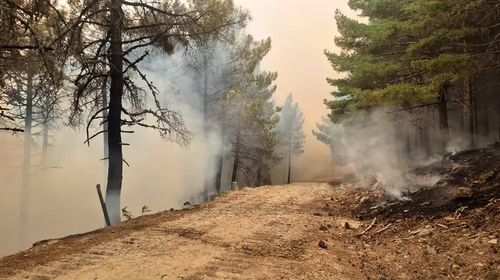 El Gobierno declara zonas afectadas por emergencia de protección civil los territorios afectados por 211 episodios catastróficos