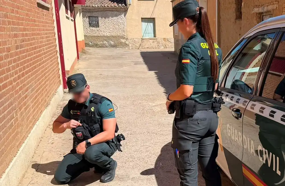 Investigan a tres menores por la muerte de un gato callejero en Villalpando tras un presunto caso de maltrato animal