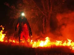 Los incendios mantienen en máxima alerta a Zamora: Fermoselle concentra la mayor emergencia mientras continúan activos varios focos