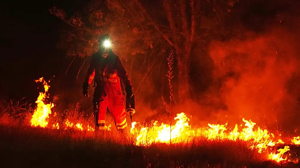 Los incendios mantienen en máxima alerta a Zamora: Fermoselle concentra la mayor emergencia mientras continúan activos varios focos 1 Los incendios mantienen en máxima alerta a Zamora: Fermoselle concentra la mayor emergencia mientras continúan activos varios focos