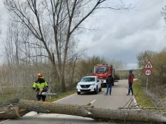 Aviso amarillo por viento en la Meseta de Zamora con rachas de hasta 70 km/h